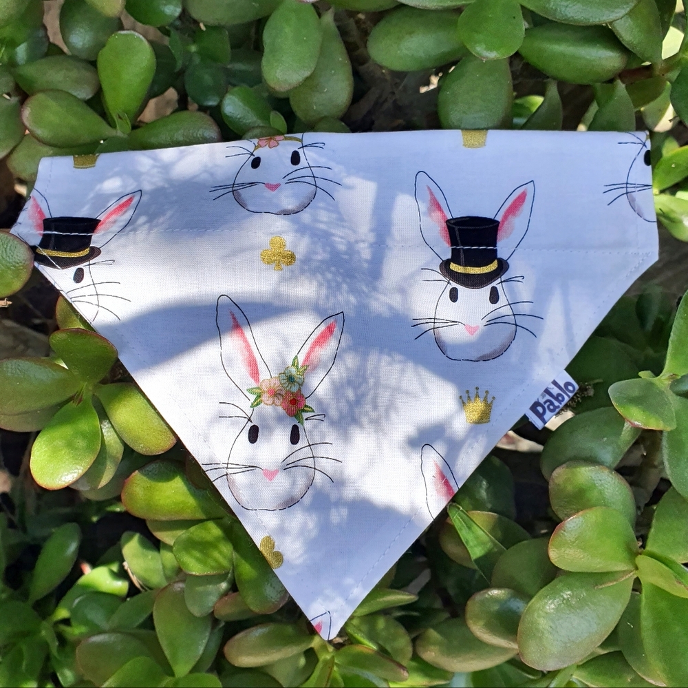 🐶 3 for $15 * Pablo Reversible Elegant Easter Bunnies Dog Collar - Picture 2 of 7
